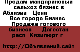 Продам мандариновый сельхоз-бизнес в Абхазии › Цена ­ 1 000 000 - Все города Бизнес » Продажа готового бизнеса   . Дагестан респ.,Кизилюрт г.